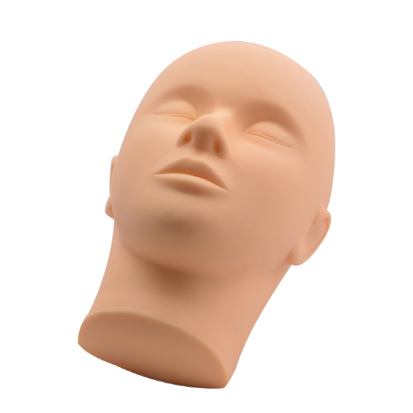 Mannequin head